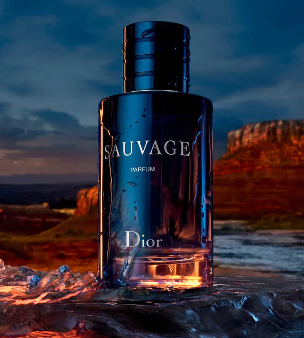 KIT 3 Perfumes Masculinos Importados (100 ml cada) - 212 Vip Black | Sauvage Dior | One Milion - LZ22